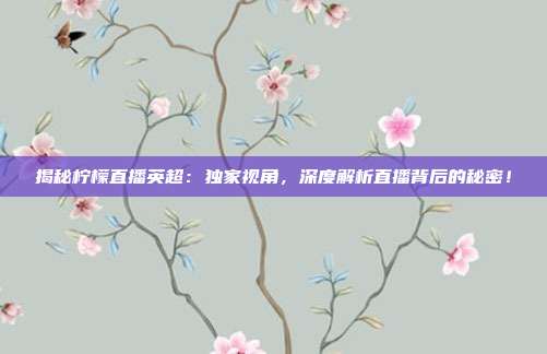 揭秘柠檬直播英超：独家视角，深度解析直播背后的秘密！