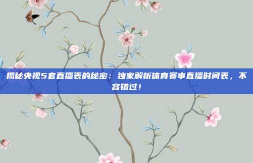 揭秘央视5套直播表的秘密：独家解析体育赛事直播时间表，不容错过！