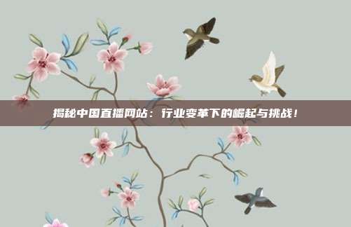 揭秘中国直播网站：行业变革下的崛起与挑战！