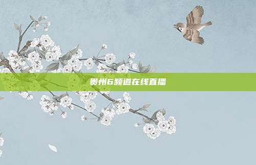 贵州6频道在线直播