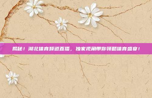 揭秘!湖北体育频道直播,独家视角带你领略体育盛宴!
