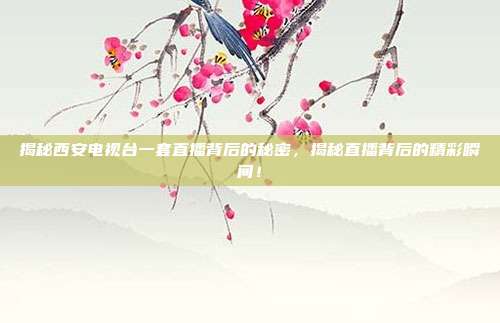 揭秘西安电视台一套直播背后的秘密，揭秘直播背后的精彩瞬间！
