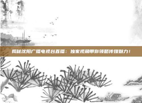揭秘沈阳广播电视台直播:独家视角带你领略传媒魅力!