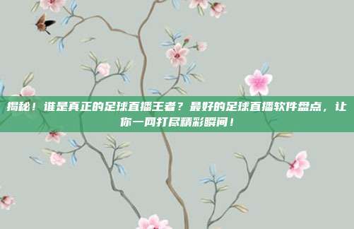 揭秘！谁是真正的足球直播王者？最好的足球直播软件盘点，让你一网打尽精彩瞬间！