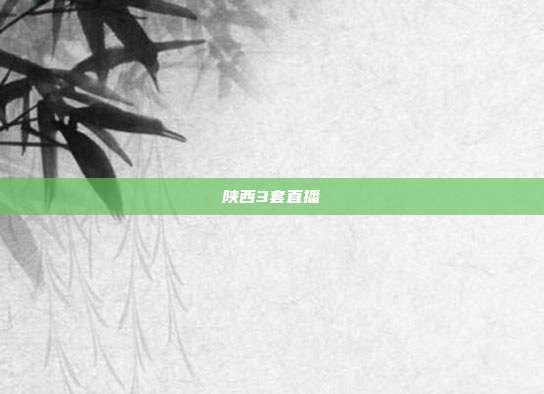 陕西3套直播