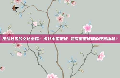 足球社区的文化密码！虎扑中国足球 如何重塑球迷的观赛体验？