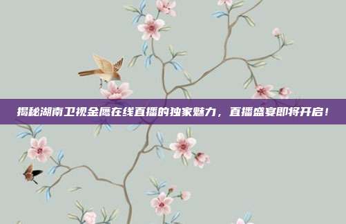 揭秘湖南卫视金鹰在线直播的独家魅力，直播盛宴即将开启！