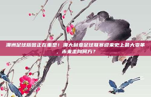 澳洲足球版图正在重塑！澳大利亚足球联赛迎来史上最大变革，未来走向何方？