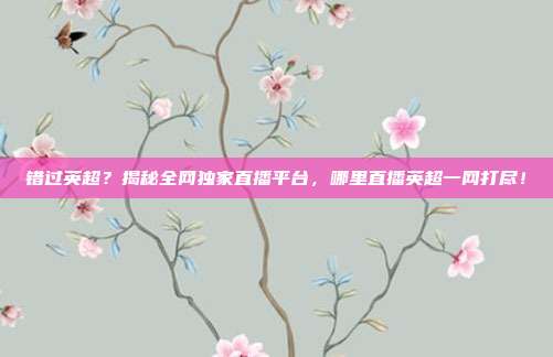 错过英超？揭秘全网独家直播平台，哪里直播英超一网打尽！