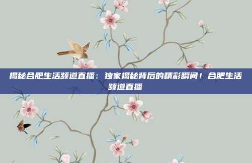 揭秘合肥生活频道直播：独家揭秘背后的精彩瞬间！合肥生活频道直播