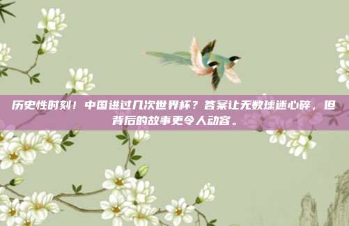 历史性时刻！中国进过几次世界杯？答案让无数球迷心碎，但背后的故事更令人动容。