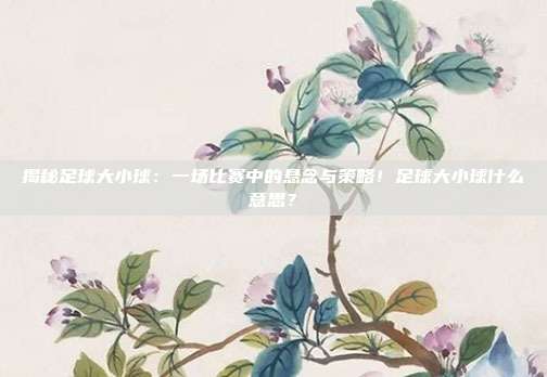 揭秘足球大小球：一场比赛中的悬念与策略！足球大小球什么意思？