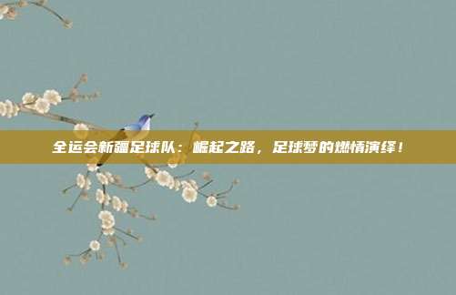 全运会新疆足球队:崛起之路,足球梦的燃情演绎!