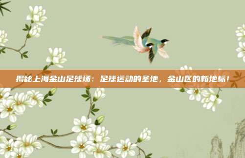 揭秘上海金山足球场:足球运动的圣地,金山区的新地标!