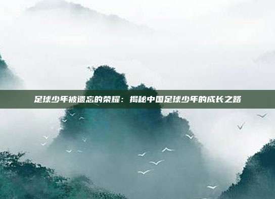 足球少年被遗忘的荣耀：揭秘中国足球少年的成长之路