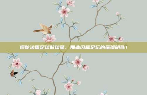 揭秘法国足球队球星：那些闪耀足坛的璀璨明珠！