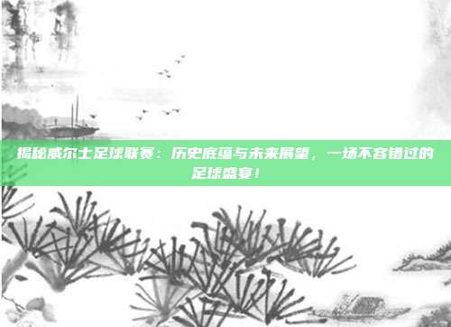 揭秘威尔士足球联赛：历史底蕴与未来展望，一场不容错过的足球盛宴！