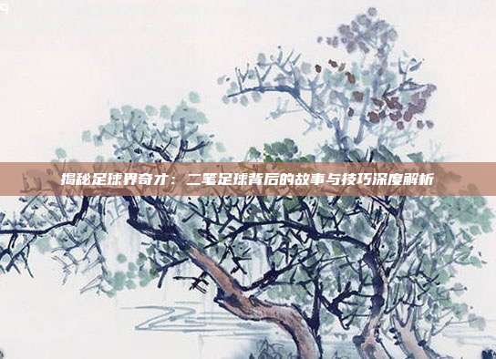 揭秘足球界奇才:二笔足球背后的故事与技巧深度解析