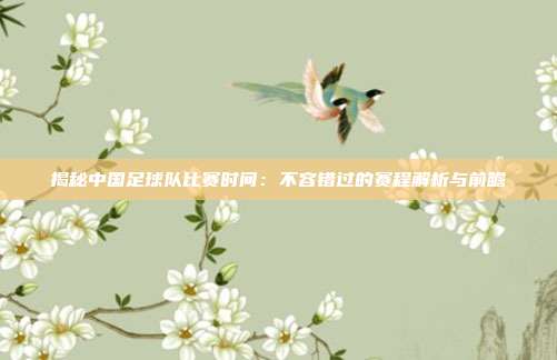 揭秘中国足球队比赛时间：不容错过的赛程解析与前瞻