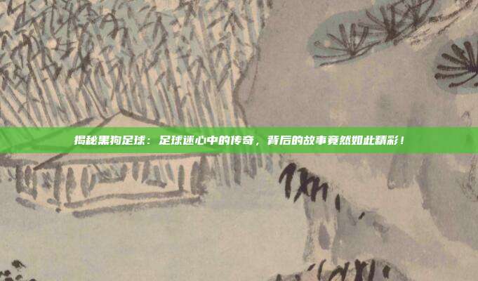 揭秘黑狗足球:足球迷心中的传奇,背后的故事竟然如此精彩!