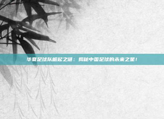 华夏足球队崛起之谜：揭秘中国足球的未来之星！