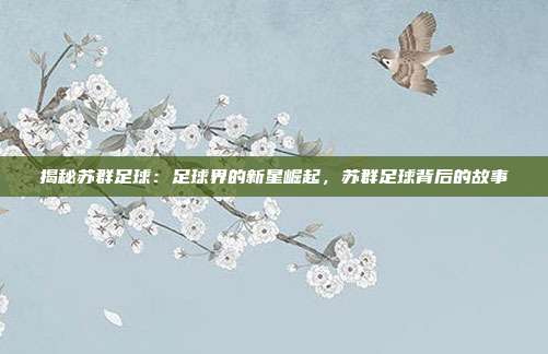 揭秘苏群足球:足球界的新星崛起,苏群足球背后的故事