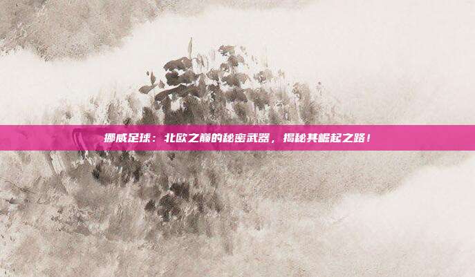 挪威足球：北欧之巅的秘密武器，揭秘其崛起之路！