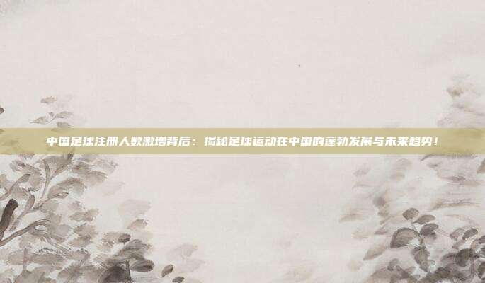 中国足球注册人数激增背后:揭秘足球运动在中国的蓬勃发展与未来趋势!
