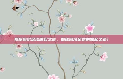 揭秘图尔足球崛起之谜，揭秘图尔足球的崛起之路！