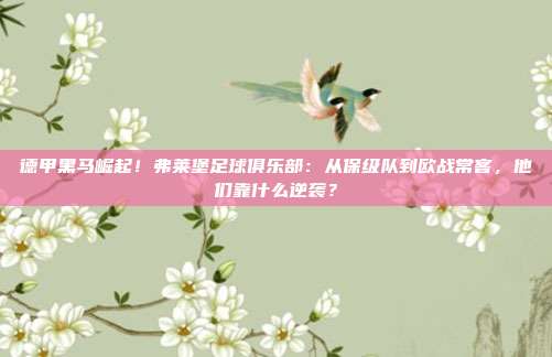 德甲黑马崛起！弗莱堡足球俱乐部：从保级队到欧战常客，他们靠什么逆袭？
