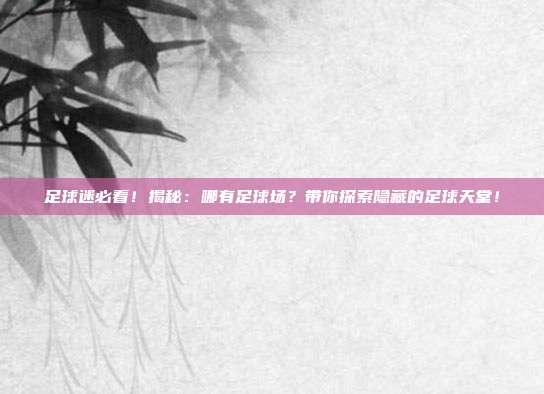 足球迷必看！揭秘：哪有足球场？带你探索隐藏的足球天堂！