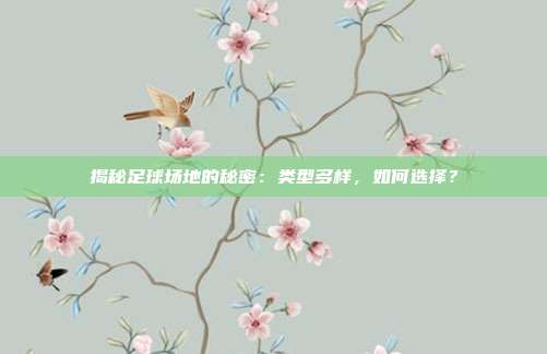 揭秘足球场地的秘密：类型多样，如何选择？