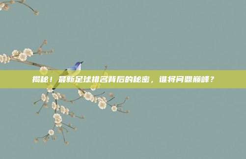 揭秘！最新足球排名背后的秘密，谁将问鼎巅峰？