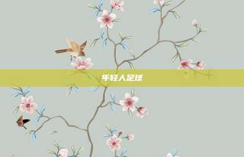 年轻人足球