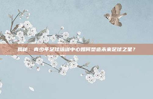 揭秘:青少年足球培训中心如何塑造未来足球之星?