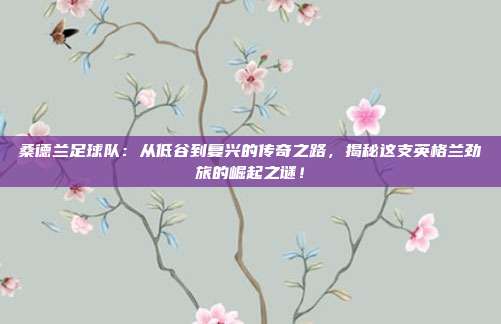桑德兰足球队:从低谷到复兴的传奇之路,揭秘这支英格兰劲旅的崛起之谜!