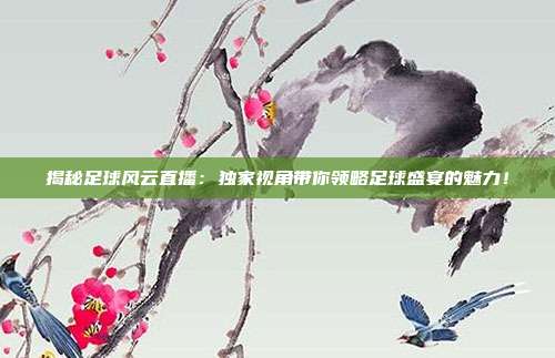 揭秘足球风云直播:独家视角带你领略足球盛宴的魅力!