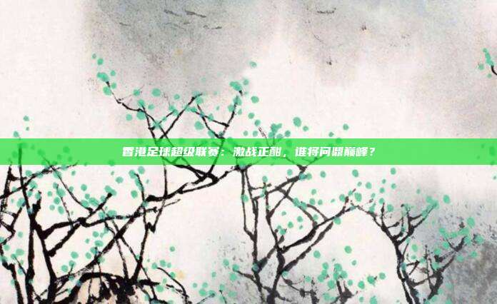 香港足球超级联赛:激战正酣,谁将问鼎巅峰?
