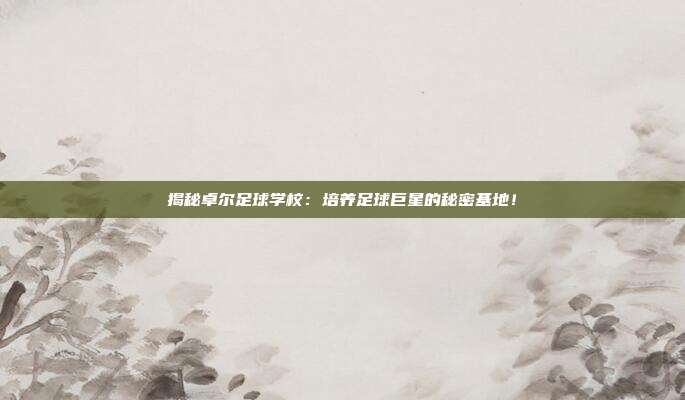 揭秘卓尔足球学校:培养足球巨星的秘密基地!