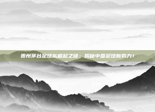 贵州茅台足球队崛起之谜：揭秘中国足球新势力！