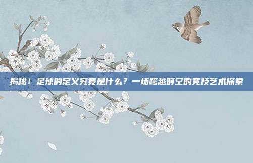 揭秘!足球的定义究竟是什么?一场跨越时空的竞技艺术探索