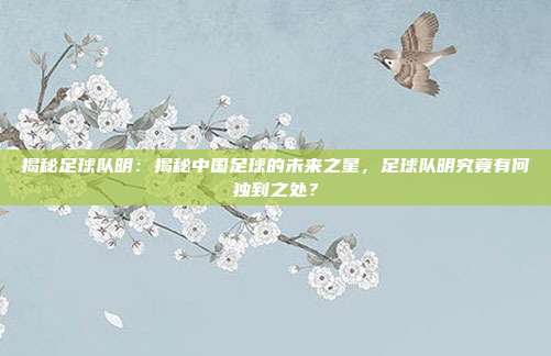 揭秘足球队明：揭秘中国足球的未来之星，足球队明究竟有何独到之处？