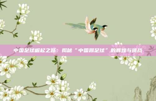中国足球崛起之路：揭秘“中国踢足球”的辉煌与挑战