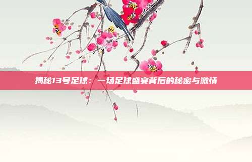 揭秘13号足球:一场足球盛宴背后的秘密与激情