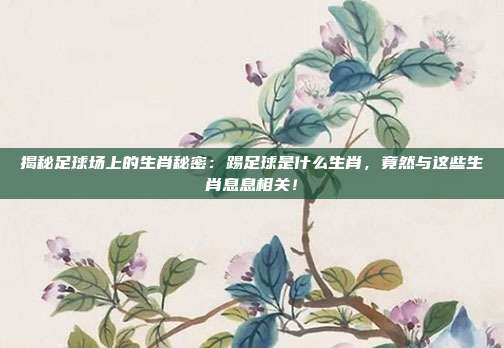 揭秘足球场上的生肖秘密:踢足球是什么生肖,竟然与这些生肖息息相关!
