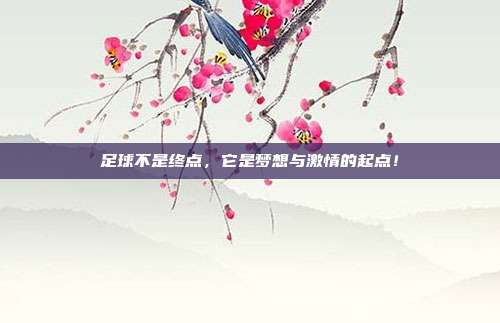 足球不是终点，它是梦想与激情的起点！