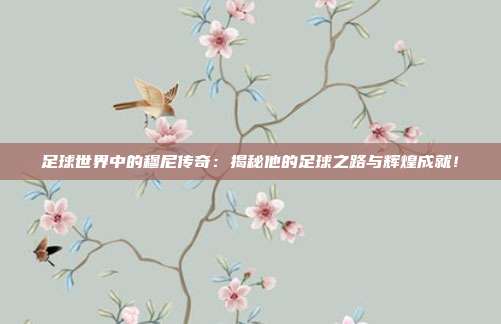 足球世界中的穆尼传奇:揭秘他的足球之路与辉煌成就!