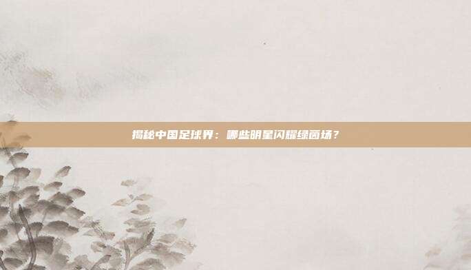 揭秘中国足球界：哪些明星闪耀绿茵场？