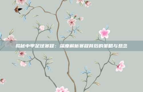 揭秘中甲足球赛程：深度解析赛程背后的策略与悬念