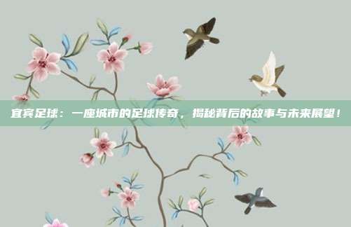 宜宾足球:一座城市的足球传奇,揭秘背后的故事与未来展望!